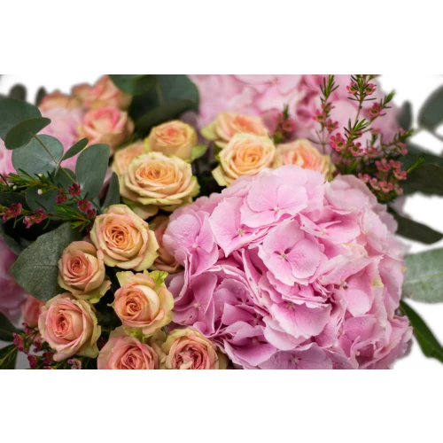 A bouquet of hydrangeas